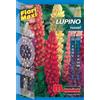 Semi fiori Lupino Russel
