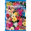 Semi fiori Portulaca doppia