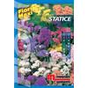 Semi fiori Statice