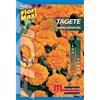 Semi fiori Tagete nano arancio