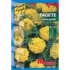 Semi fiori Tagete nano giallo