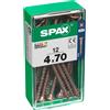 Spax Vite SPAX TSP POZI bronzata 4x70 S 12 pz