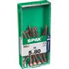 Spax Vite SPAX TSP POZI bronzata 5x80 M 10 pz
