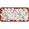 Granulati Zandobbio Ciottolo bianco Carrara 25-40 mm 20 kg