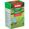Blumen Semi prato Blumen Forte soleggiato 200 g