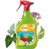 Bayer Garden Spray liquido Solabiol insetticida abbattente 1l