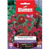Semi Blumen Melange di fiori estivi rossi