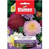 Blumen Semi Blumen Astro principessa in miscuglio