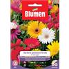 Semi Blumen Gerbera jamesonii in miscuglio