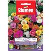 Blumen Semi Blumen Portulaca Grandiflora doppia in miscuglio