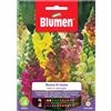 Blumen Semi Blumen Bocca di leone nana in miscuglio