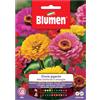 Blumen Semi Blumen Zinnia gigante della California in miscuglio