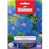 Semi Blumen Ipomea o campanella rampicante blu