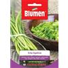Blumen Semi Erba cipollina Blumen