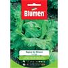 Blumen Semi Blumen Lattuga regina dei ghiacci 20 g