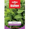 Blumen Semi Salvia officinalis Blumen