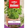 Blumen Semi Melissa Blumen