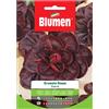 Blumen Semi Blumen Cicoria grumolo rosso