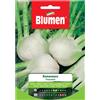Blumen Semi Blumen Finocchio romanesco