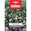 Blumen Semi Blumen Margheritina selvatica bianca dei prati