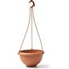 Terrae Basket con gancio universale 25 cm in plastica