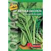 Semi orto maxi Bietola da costa liscia