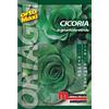 Semi orto maxi Cicoria a grumolo verde