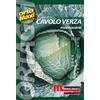 Semi orto maxi Cavolverza mantovana