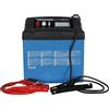 Awelco caricabatteria con avviatore Professional 210 12/24 V