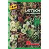 Semi orto maxi Lattuga taglio mix