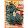 Semi orto maxi Zucca marina di Chioggia