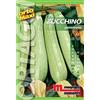 Semi orto maxi Zucchino genovese