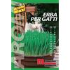 Semi aromi Erba per gatti