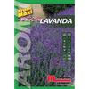 Semi aromi Lavanda