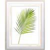 Cornice da muro Randu in legno bianco 21x29,7 cm