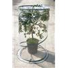 Serra da terrazzo pop-up Citrus Ø 90 cm x h 150