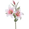 Lilium con 3 fiori 65 cm