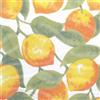 Tenda zanzariera 150x170 cm fantasia limoni