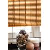 - Tapparella Africa con listelli chiari 100 cm x 160 cm