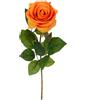Rosa singola arancio H 67 cm