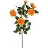 Rosa selvatica 59 cm