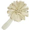 Fermatende calamita fiore bianco