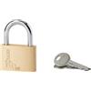 Lucchetto a cilindro ottone arco acciaio 45 mm 2 chiavi