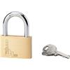 Lucchetto a cilindro ottone arco acciaio 60 mm 2 chiavi