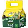 Terriccio professionale Vigorplant per cactacee 5 l