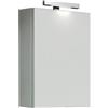 Specchio contenitore 1 anta grigio silver 50x15x68 cm