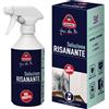 BOERO Igienizzante antimuffa soluzione risanante Boero 0,5 l