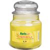 Flortis Antizanzare giara in vetro alla citronella Flortis Ø 8,5 cm