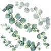 Sticker autoadesivo 2fg 31x31 cm eucalyptus