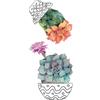 Sticker autoadesivo 2fg 15x31 cm cactus vases